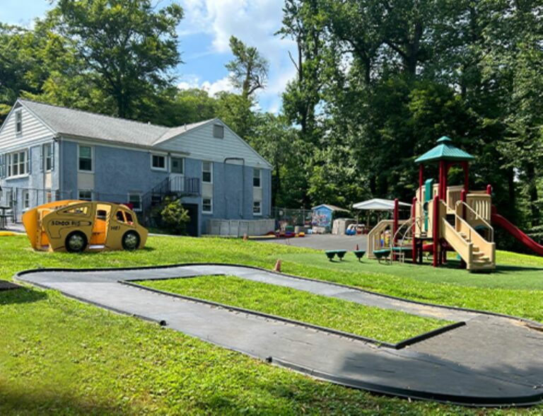 AardvarkPhoto 2 768x588