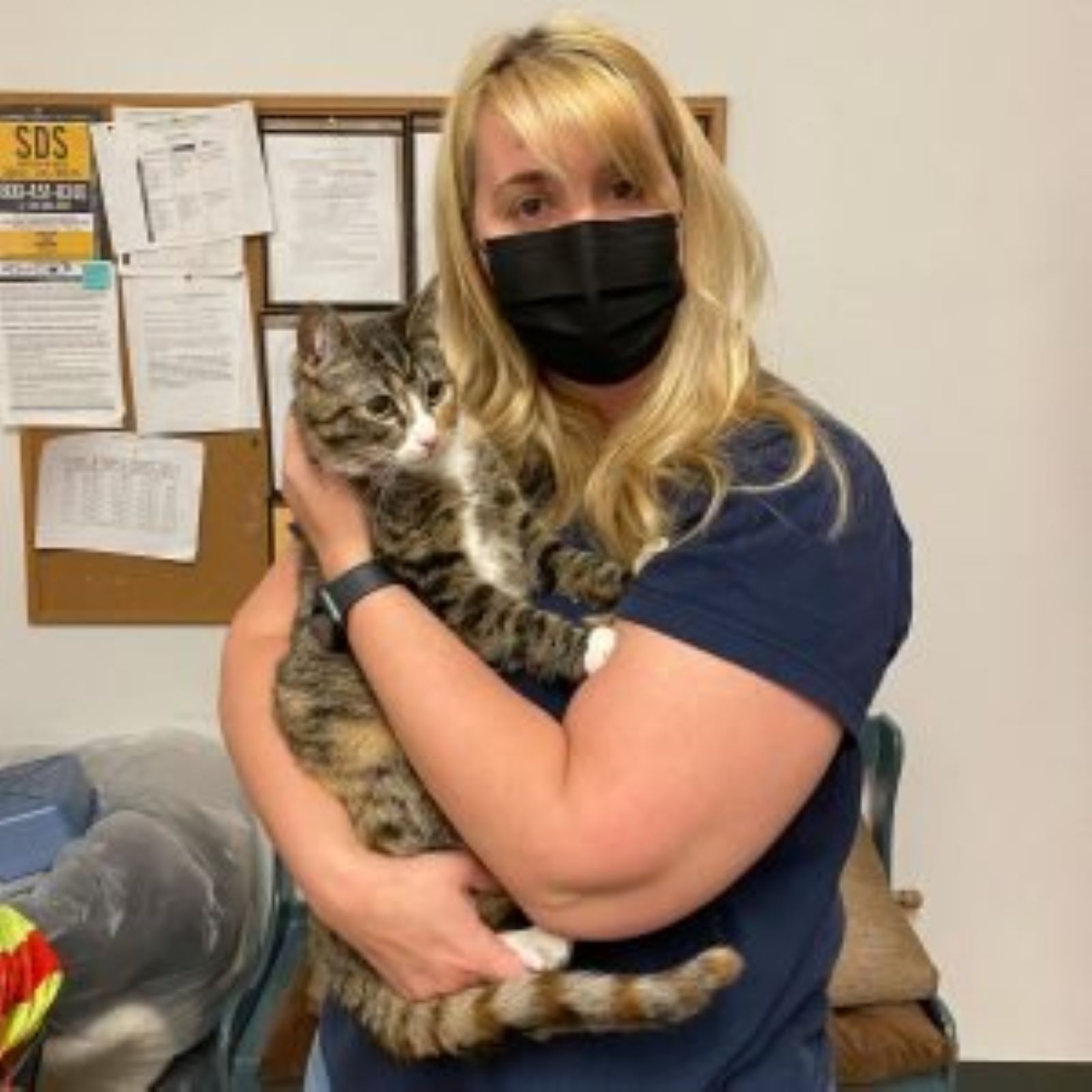 Animal Coalition of Delaware County