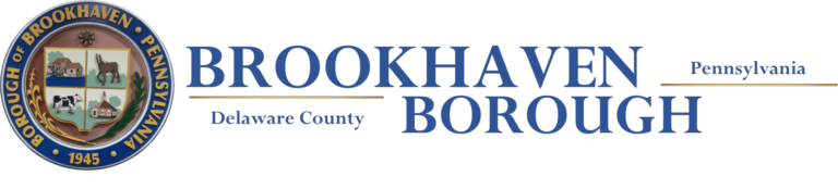 Brookhaven Police Department LOGO 1 768x174