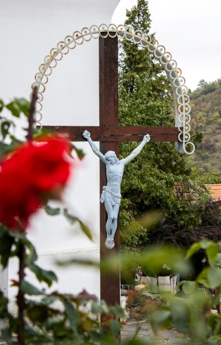 True Vine Missionary Full Gospel Baptist Church Stock Image 768x1199