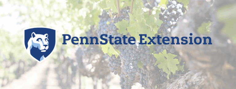 deleware county cooperative extension through penn state logo 768x292