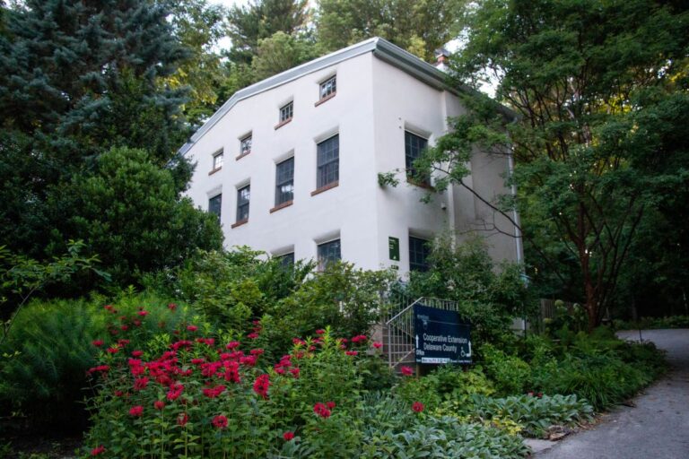 Delaware County Cooperative Extension through Penn State Photo 768x512
