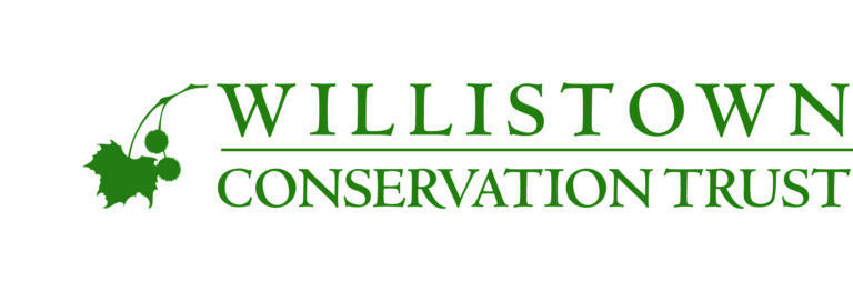 WillistownConservationTrust wct horizontal modern solid leaf green 768x262